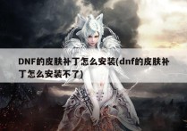 DNF的皮肤补丁怎么安装(dnf的皮肤补丁怎么安装不了)