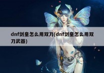 dnf剑皇怎么用双刀(dnf剑皇怎么用双刀武器)